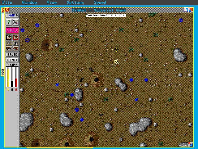 Overhead view of lawn tiles and red ant forces