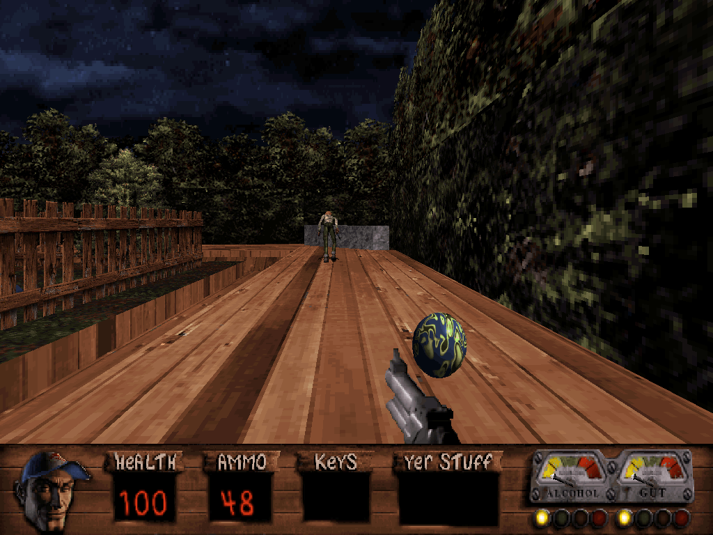 Gameplay screen showing a rural level in the Build engine